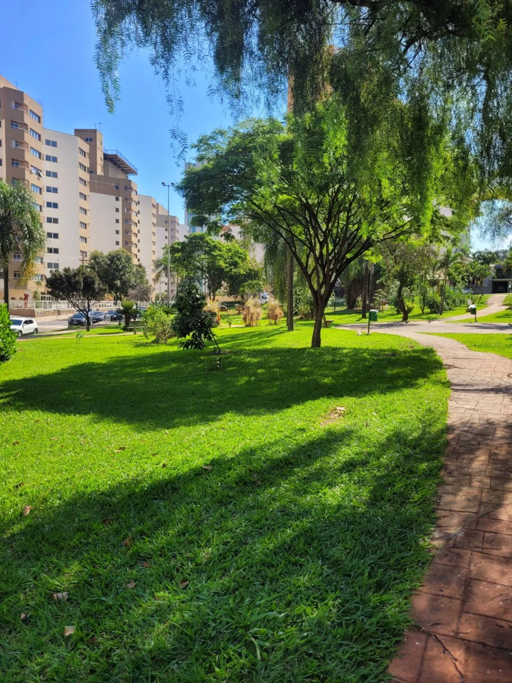 Parque arborizado com caminho de pedra, inspiração da identidade da Florescer Idiomas
